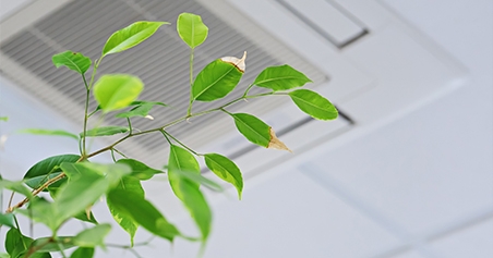 Improve Your Air Quality